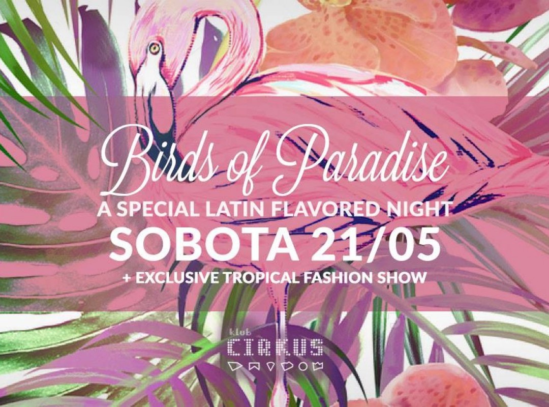 BIRDS OF PARADISE – Latin Flavored Night + Tropical Fashion Show