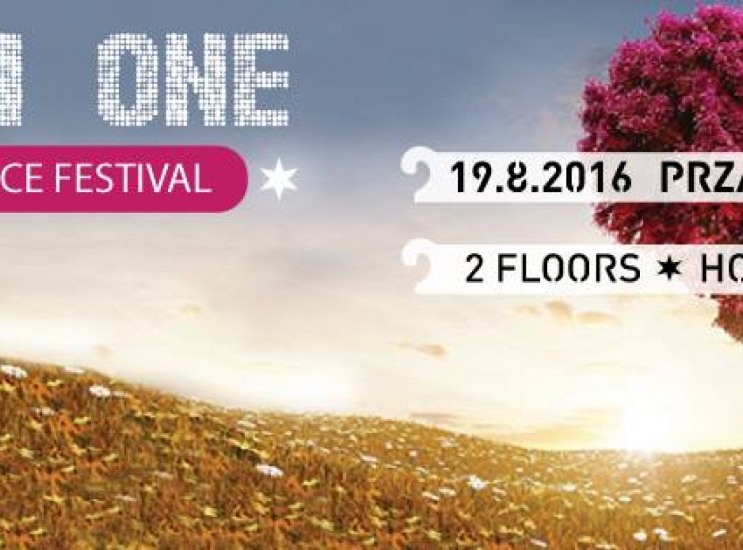 ALL in ONE :: Open Air Dance Festival I 2 floors I 13 Artists I 12 Hours I