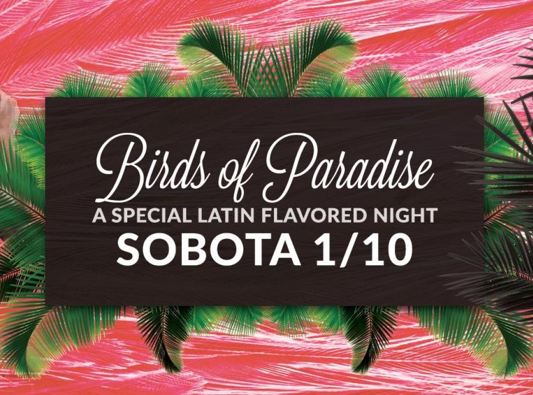 Birds of Paradise - A Special Latin Flavored Show