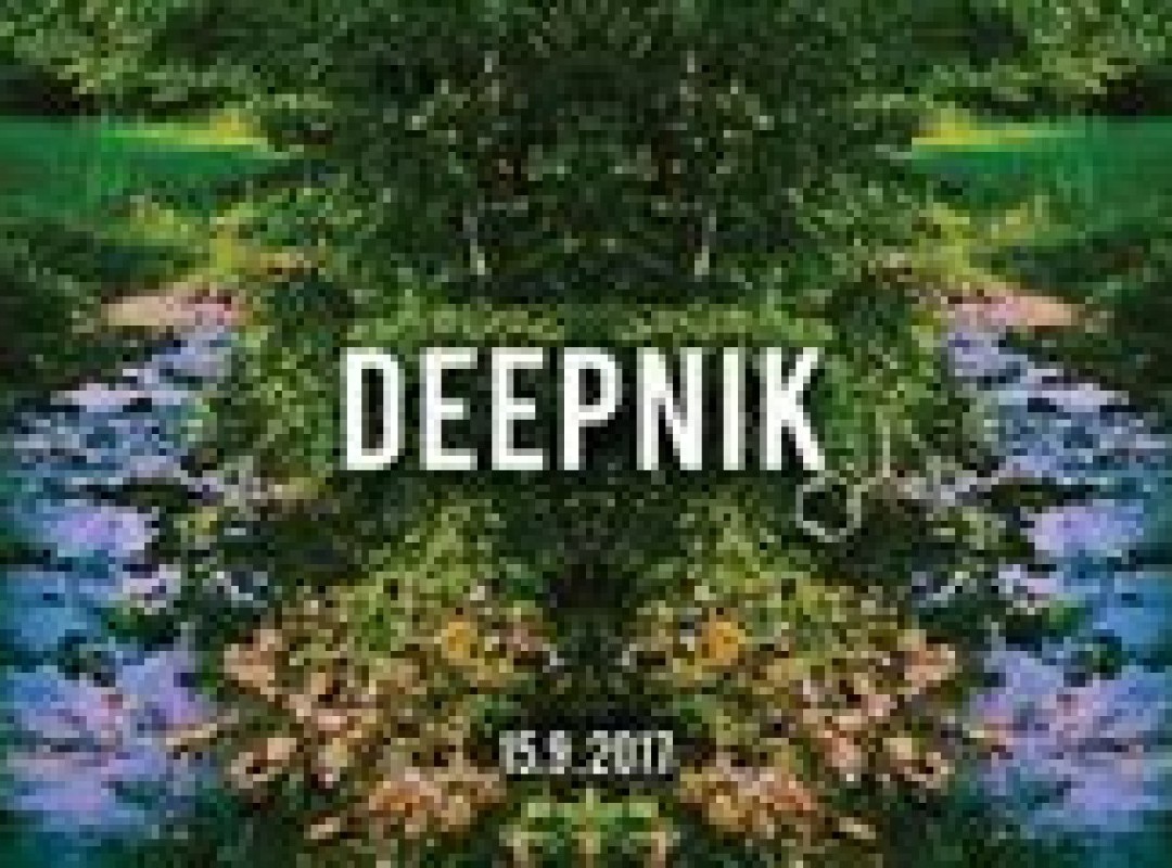Deepnik 2017