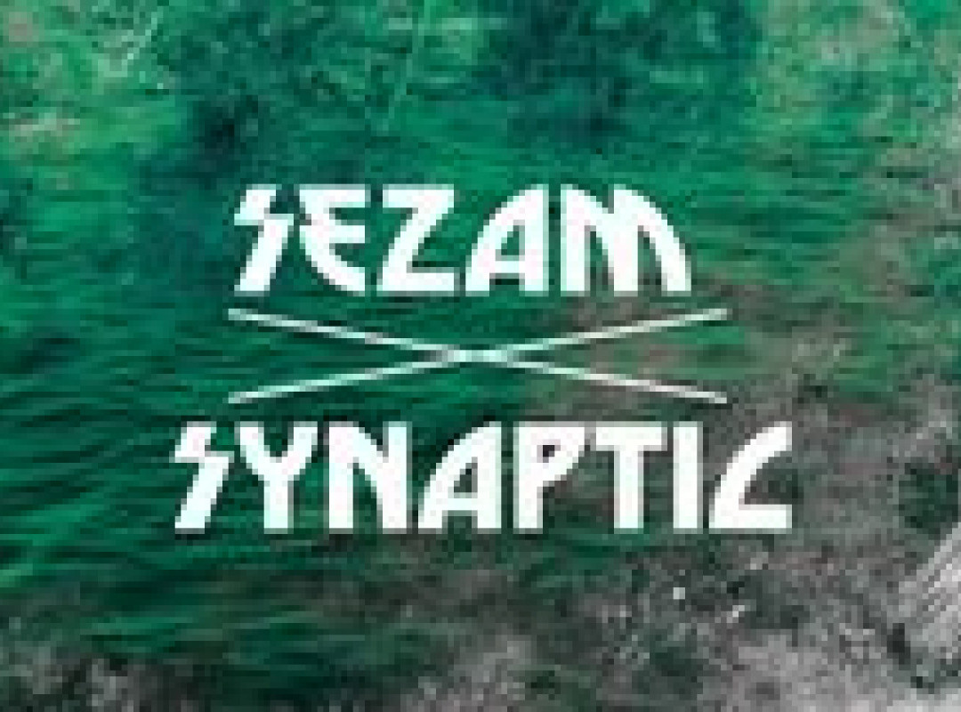 Synthetic Series S04e02: Synaptic X SEZAM