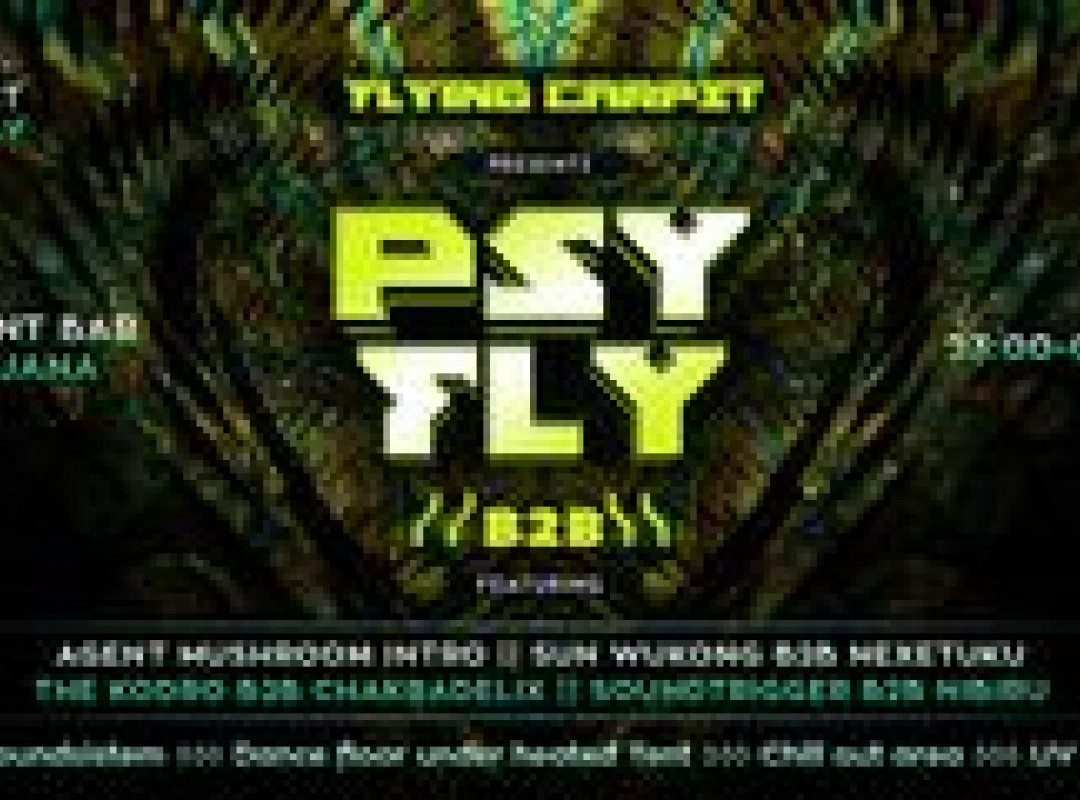 PSY FLY :: b2b