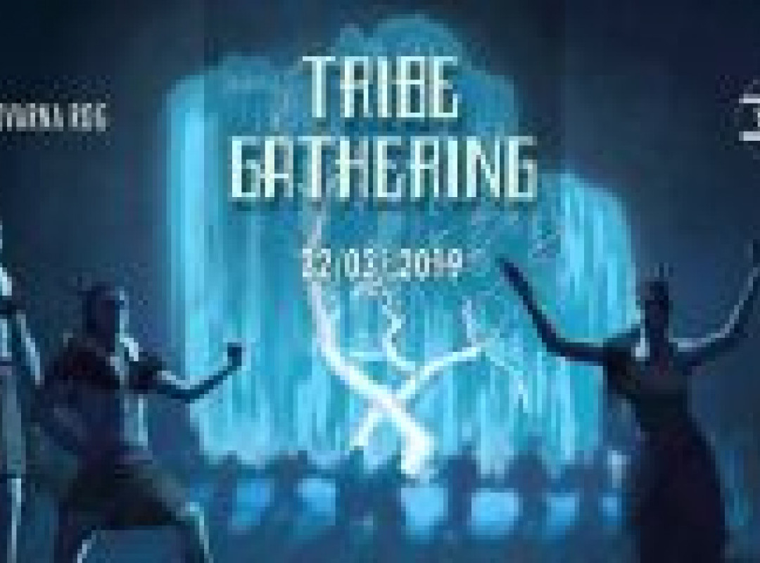 TRIBE Gathering II