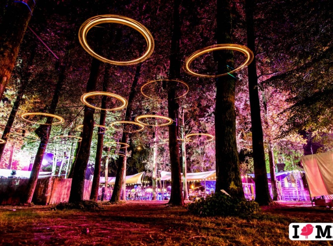 MYSTERYLAND ANNOUNCES FIRST ACTS FOR 2015